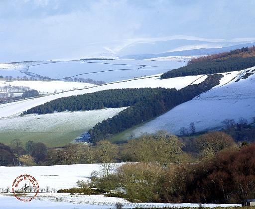 Scottish Borders 8P60D-04.JPG